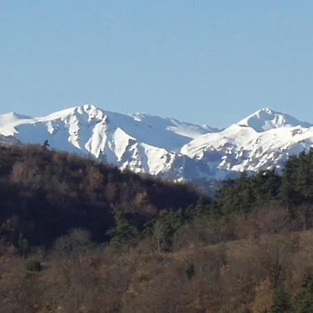 In Near Slopes * サン・ネクテール