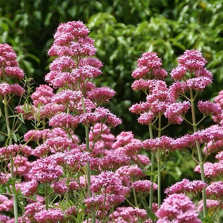 アパート In Near Slopes